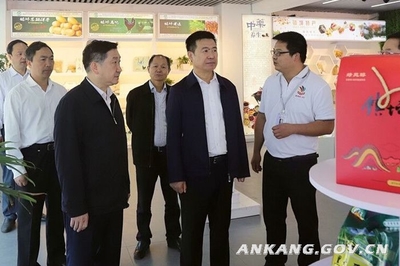 郭青深入镇坪岚皋调研 实业投资为脱贫攻坚注入强劲动力